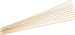 Bambuspett 10-pack