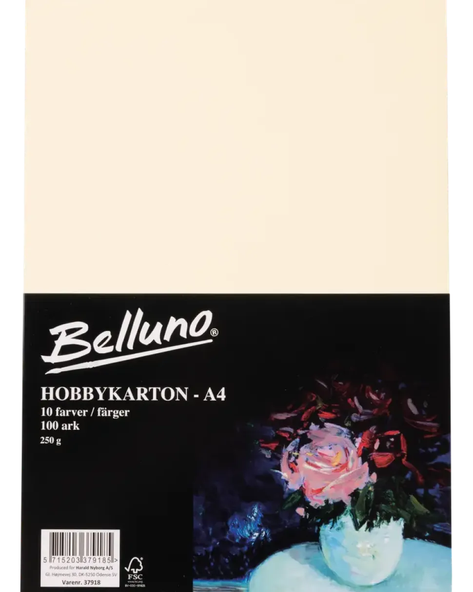 Belluno Hobby kartong ljus 100 ark - 250 g