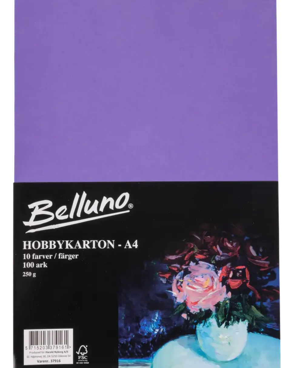 Belluno Hobby kartong original 100 ark - 250 g