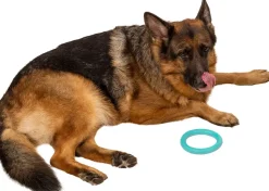 Chrisco bitring för hund