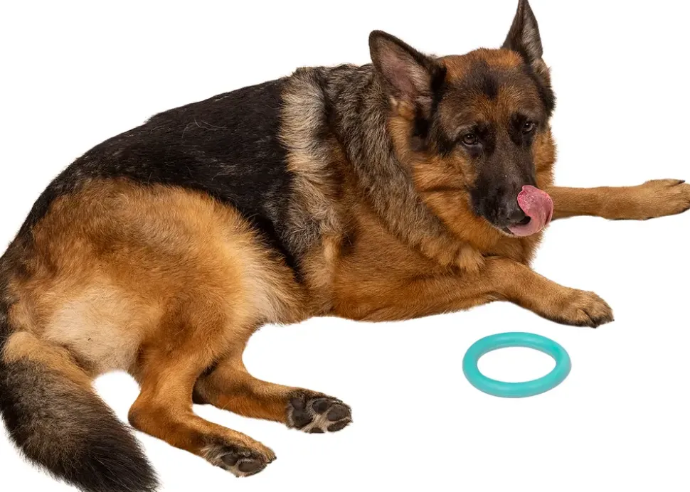 Chrisco bitring för hund