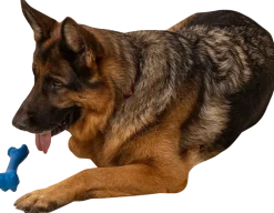 Chrisco gummiben för hund
