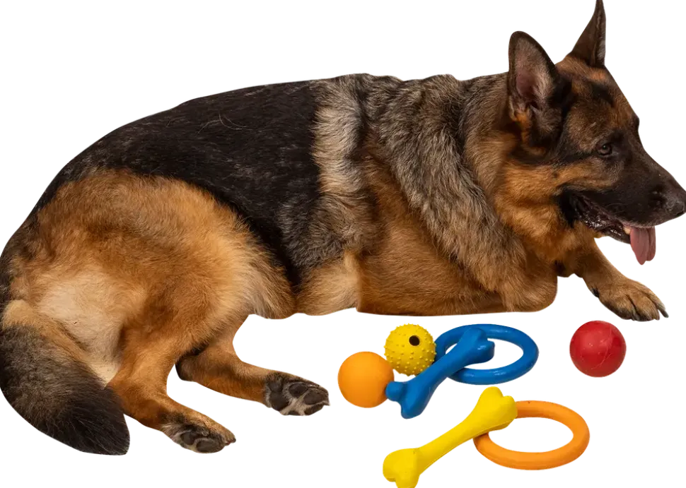 Chrisco gummiben för hund