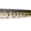 DAM Stripper 12G Leopard