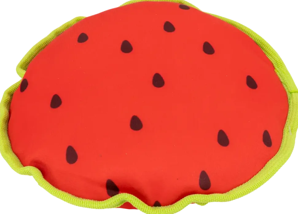 DanPet Hundleksaker Marknad B - Olika design