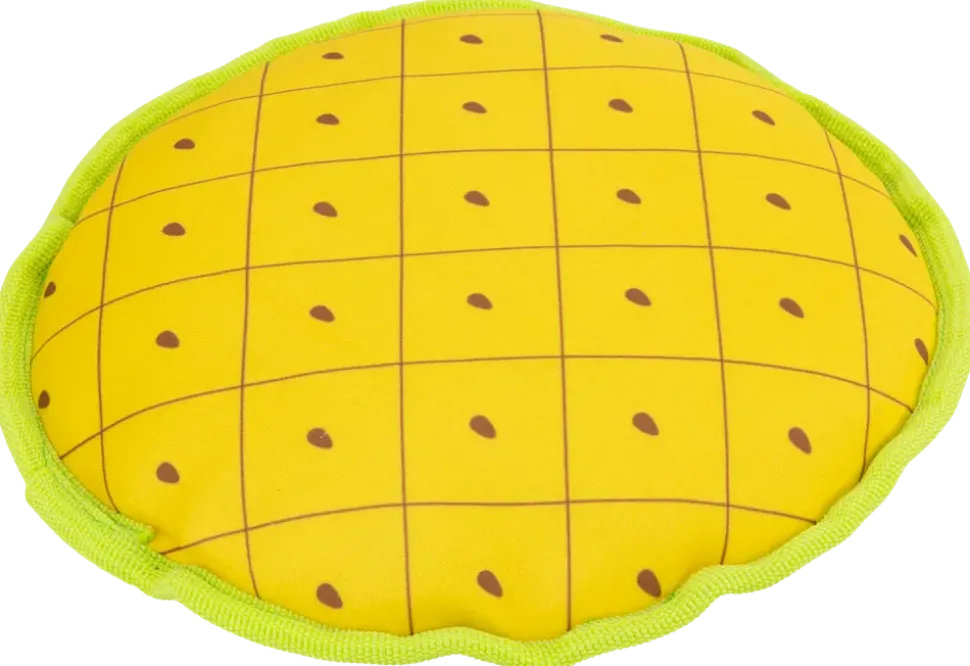 DanPet Hundleksaker Marknad B - Olika design
