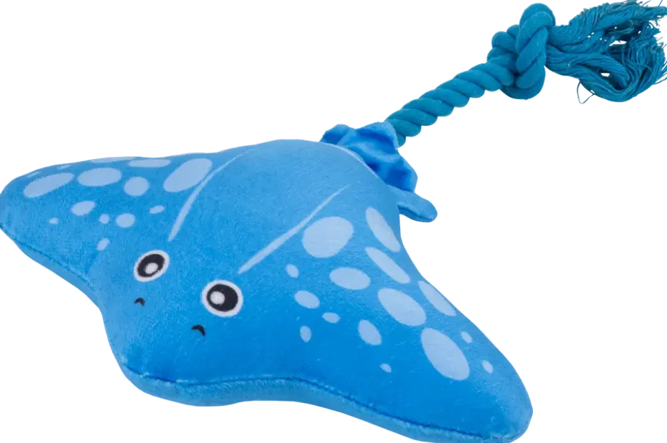 DanPet Hundleksaker Marknad C - Olika design