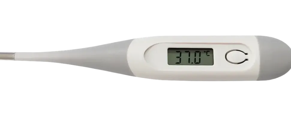 Digital termometer