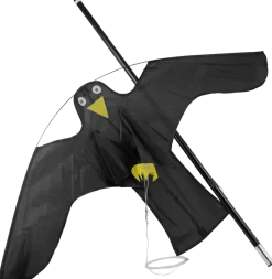 Fågelskrämma drake