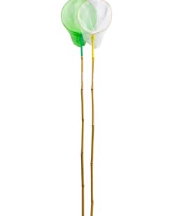 Fiskehåv