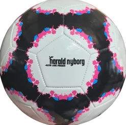 Fotboll storlek 5