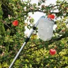 Fruktplockare med teleskopskaft