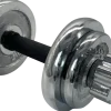 Hantel krom 10 kg