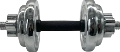 Hantel krom 10 kg