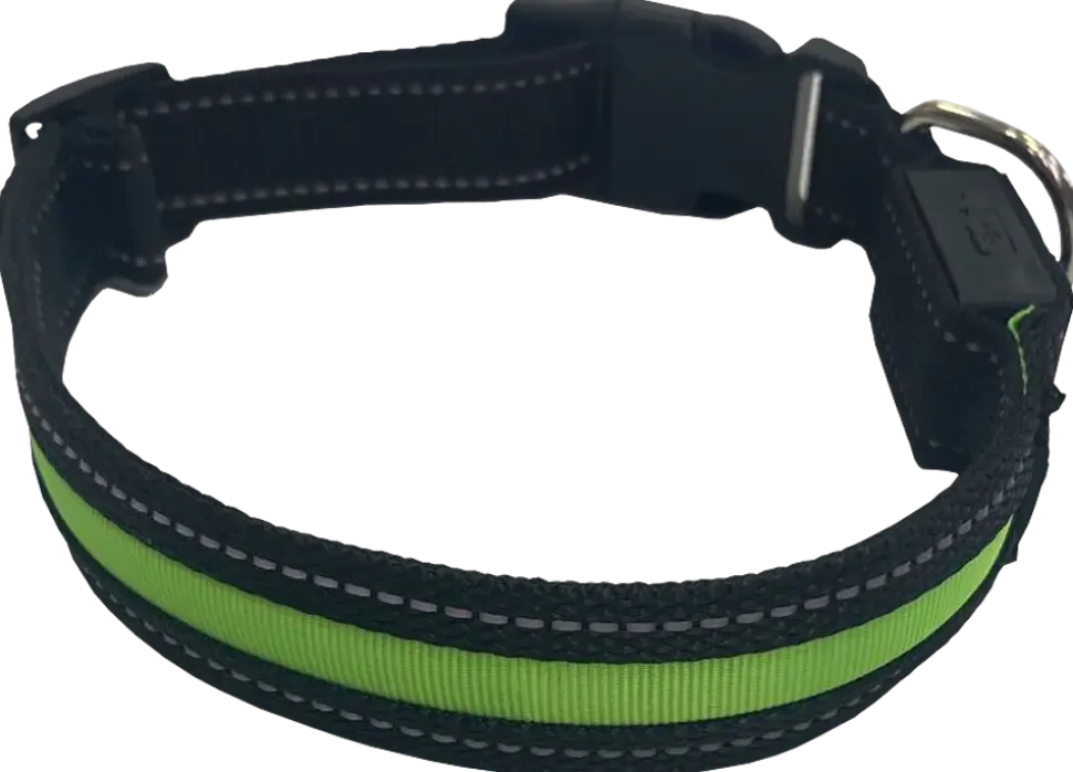 Hundhalsband led L