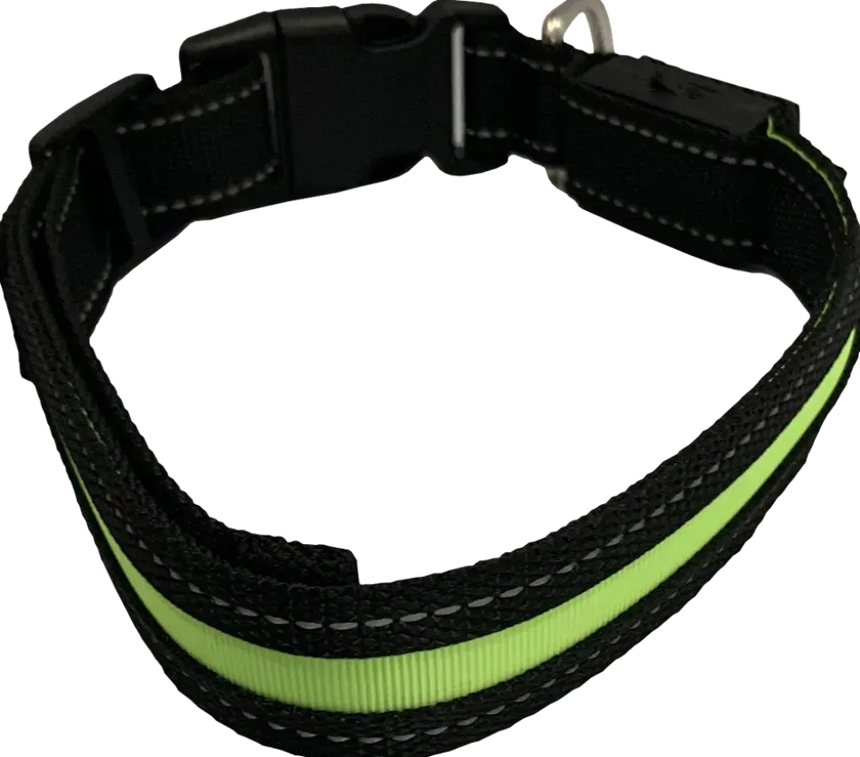Hundhalsband led M