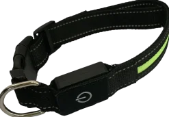 Hundhalsband led M