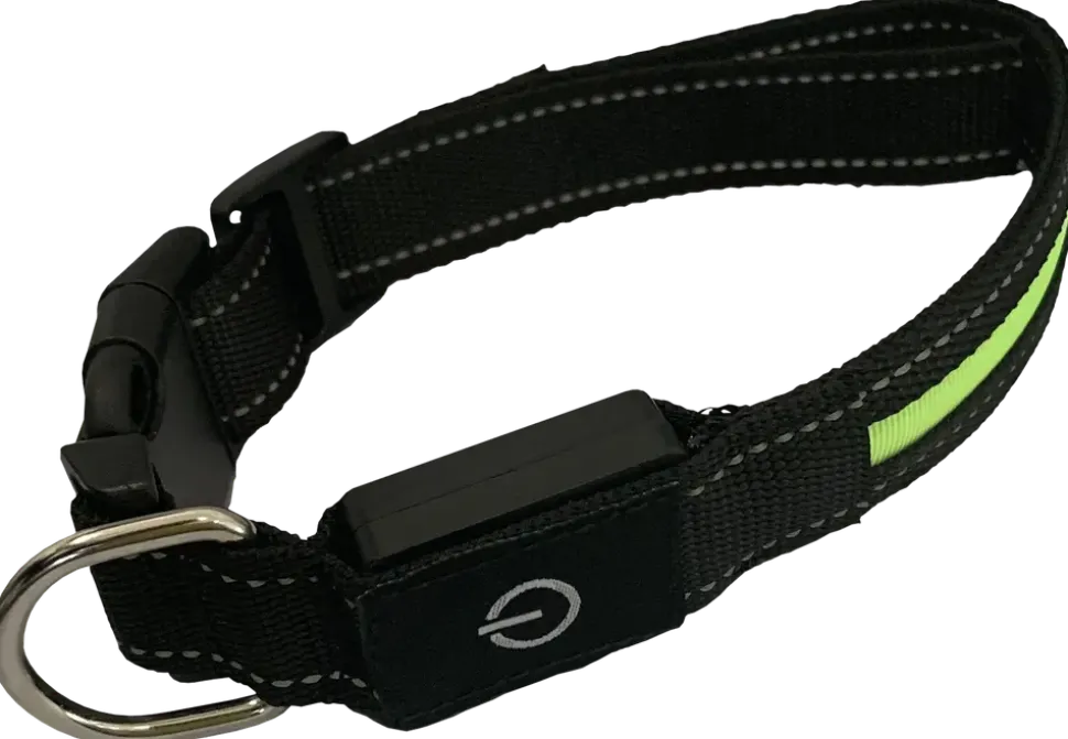 Hundhalsband led M