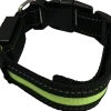 Hundhalsband led S