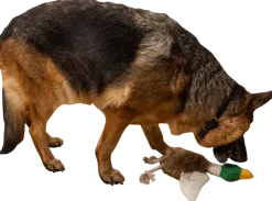 Hundleksak and 42 cm