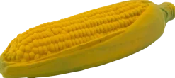 Hundleksak Grönsaker