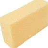 Kakelsvamp