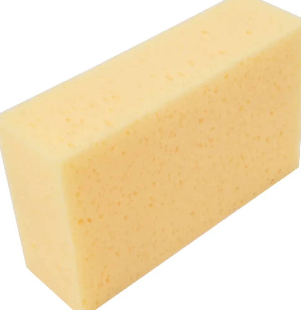 Kakelsvamp