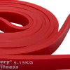 Kilberry Powerband 5-15 kg