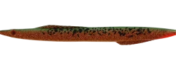 Kinetic Tobias Inline 18g Autumn Leaves
