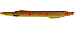 Kinetic Tobias Inline 18g Black/Copper