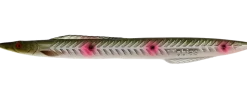Kinetic Tobias Inline 18g Natural Sandeel