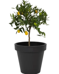 Kruka 40 cm antracit