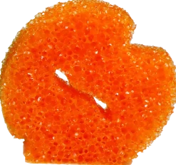 Multifunktionell skursvamp