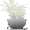 Parasollvagn 40-60 cm