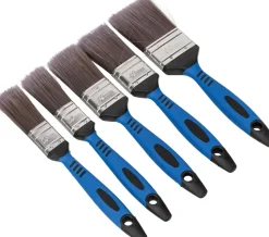 PENSELSET 5 ST