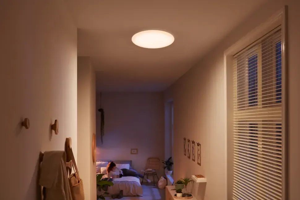 PHILIPS Plafond Wavel 17 W