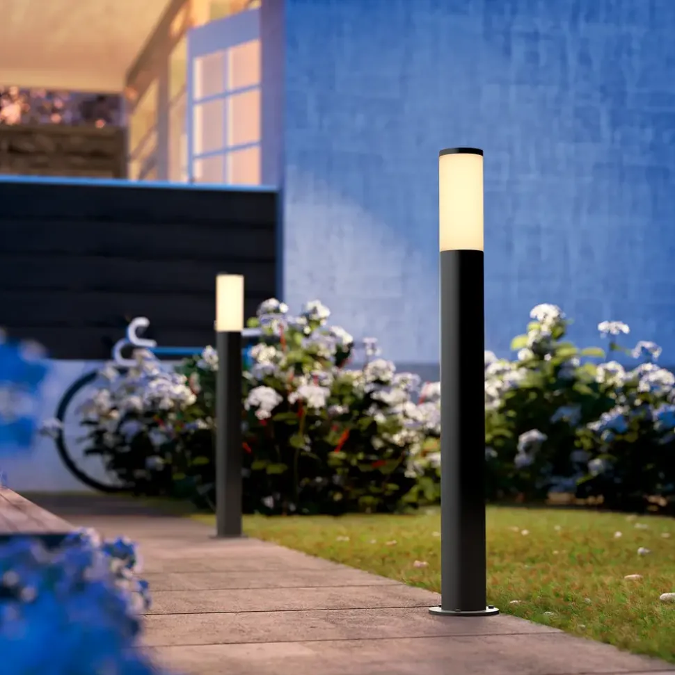 Philips Utrecht pollare