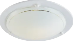 Plafond 30 cm vit
