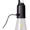 Päronlampa
