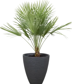 Räfflad kruka 39 cm antracit