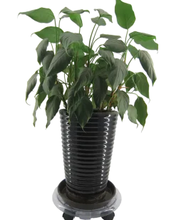 Rullvagn plast d 30 cm