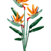 Sluban Blommor Paradisfågel M38-B1121C - 269 stycken