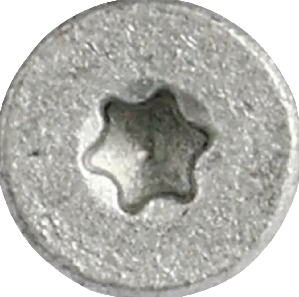 Spånskruv 5X100 mm TX20 200 st