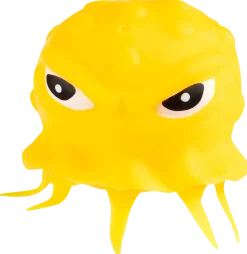 Sponge Sea animal