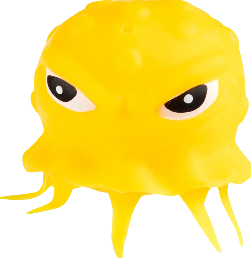 Sponge Sea animal