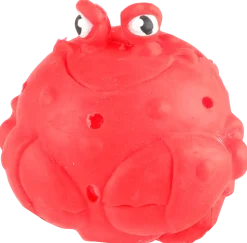 Sponge Sea animal