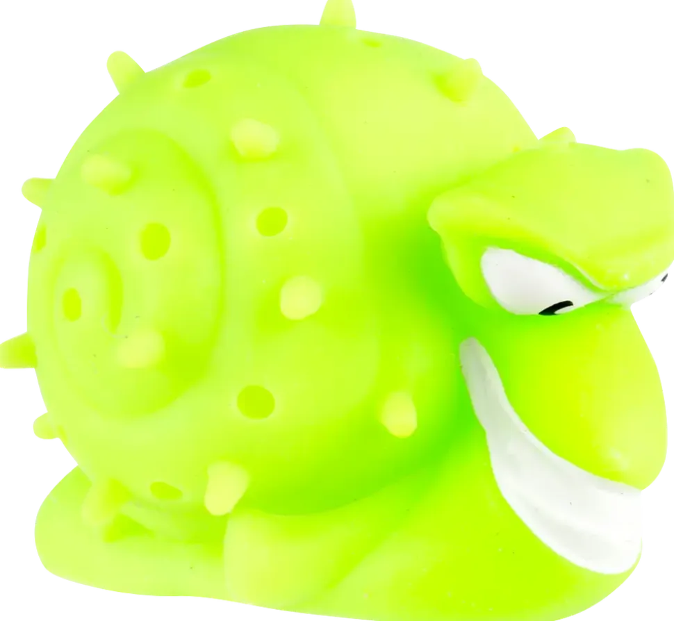 Sponge Sea animal