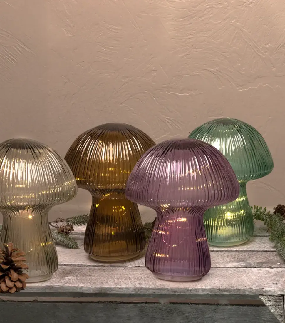 Svamp lampa