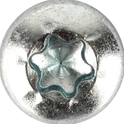 Träskruv 6,0 x 16 mm TX30 100 stk.
