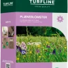 Turfline gräsmatta blommor